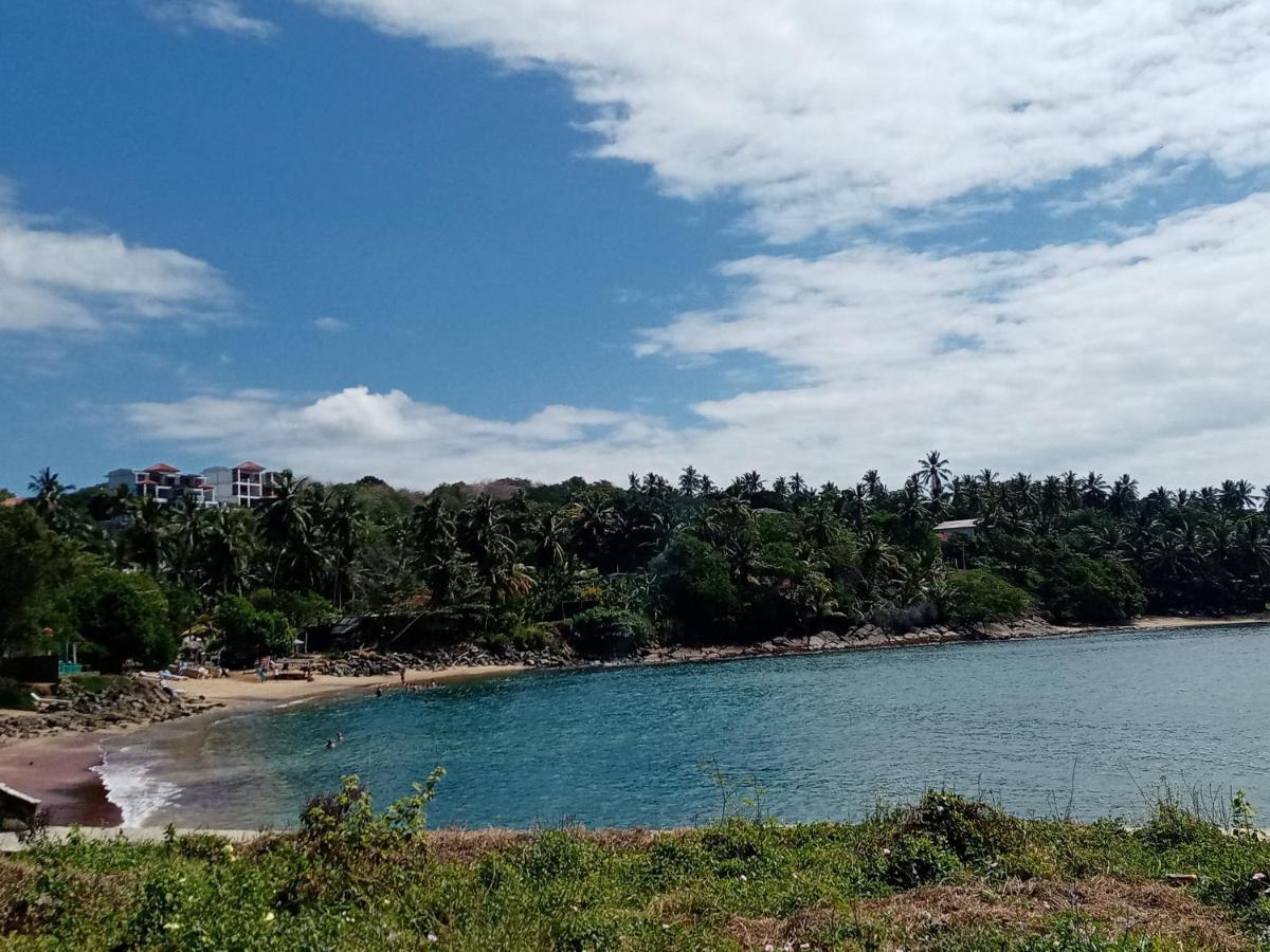 Surf Paradise แทนกาลเล ภายนอก รูปภาพ