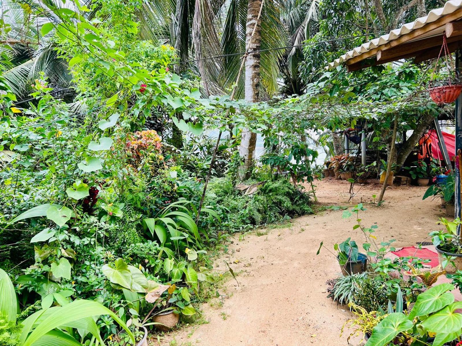 Surf Paradise แทนกาลเล ภายนอก รูปภาพ