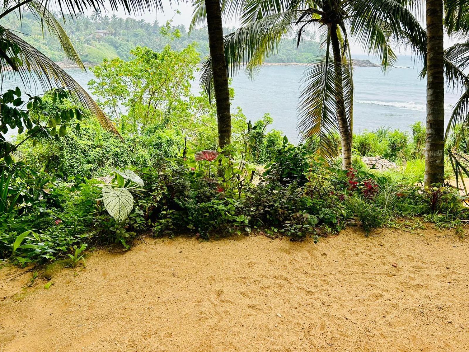 Surf Paradise แทนกาลเล ภายนอก รูปภาพ