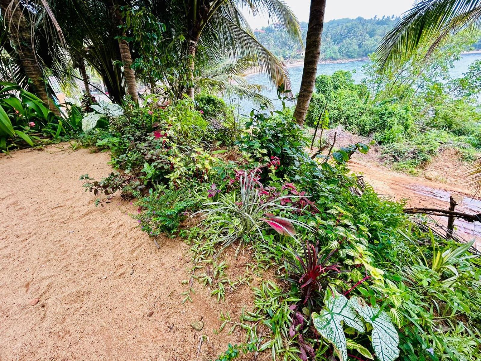 Surf Paradise แทนกาลเล ภายนอก รูปภาพ
