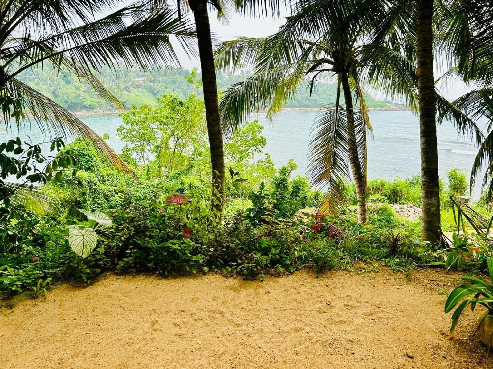 Surf Paradise แทนกาลเล ภายนอก รูปภาพ