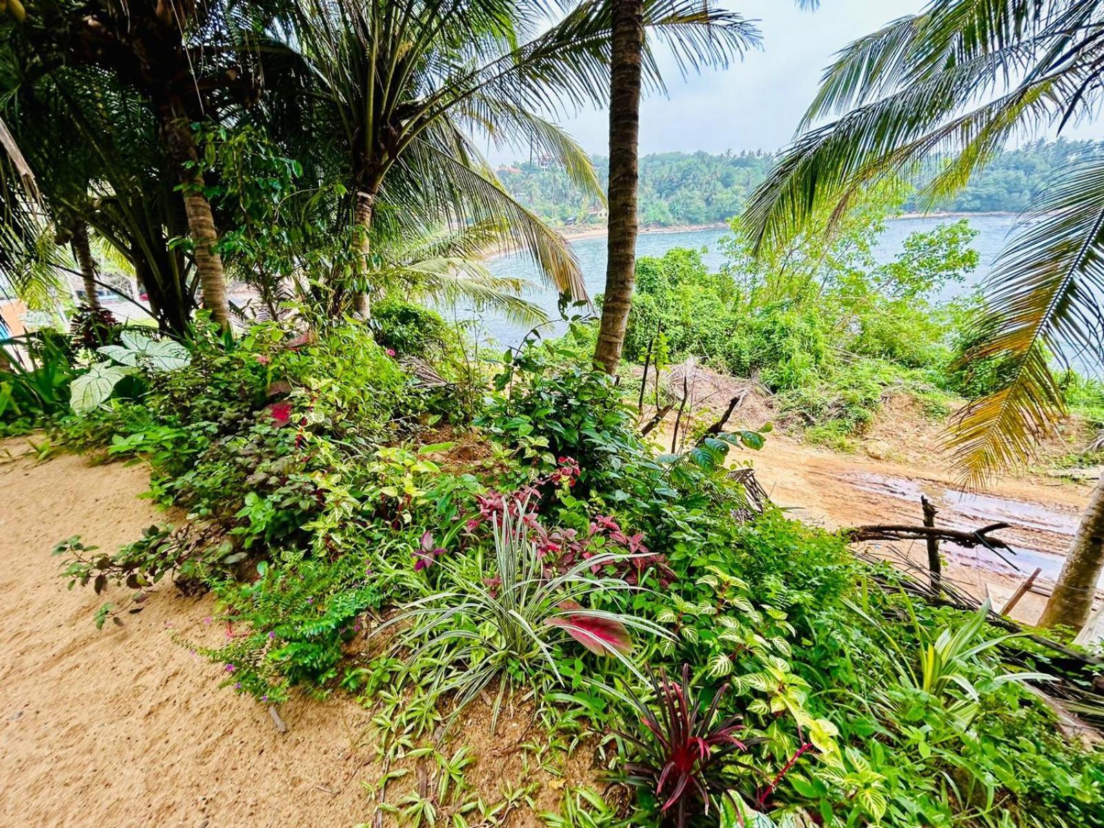 Surf Paradise แทนกาลเล ภายนอก รูปภาพ