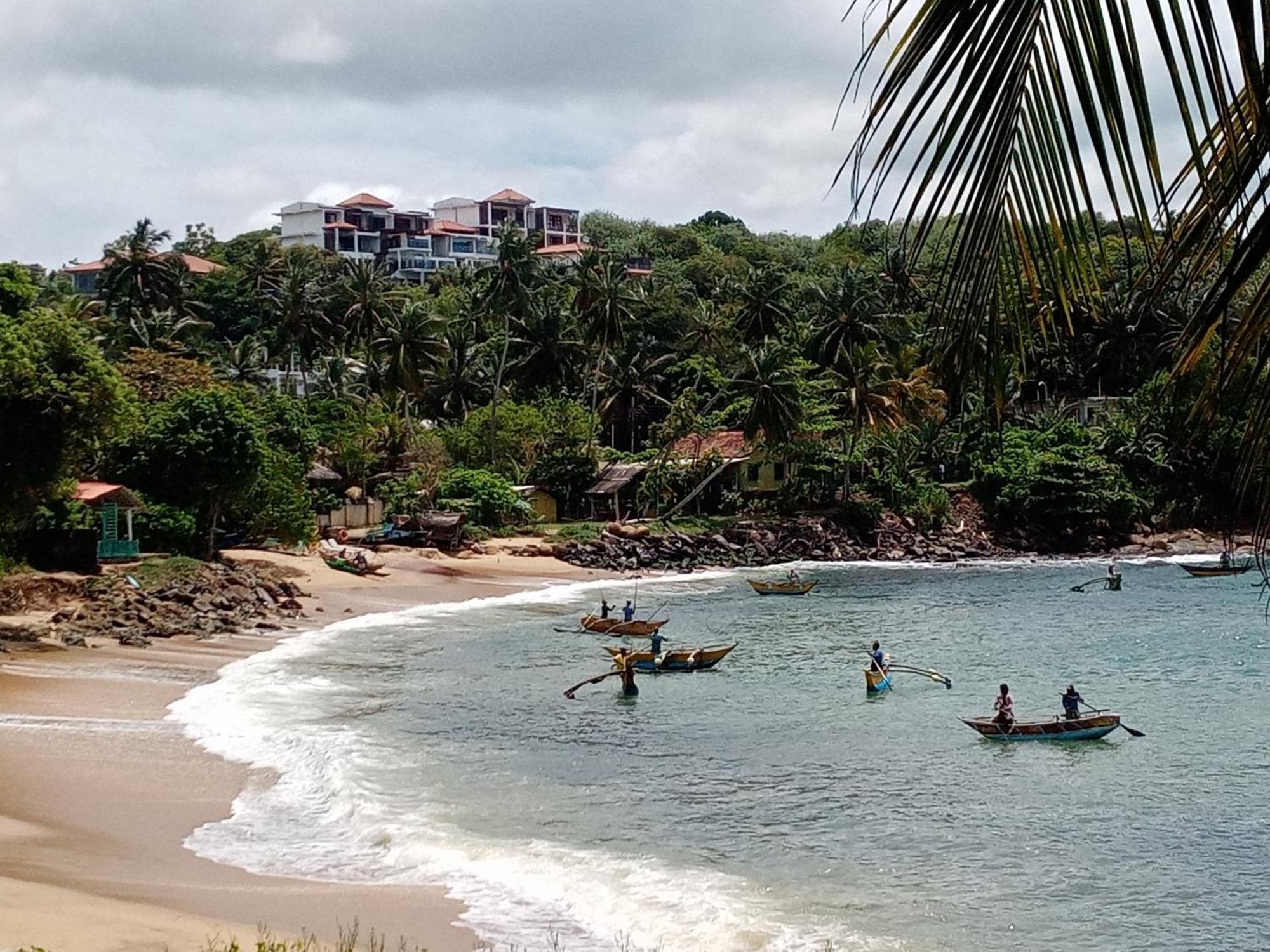 Surf Paradise แทนกาลเล ภายนอก รูปภาพ