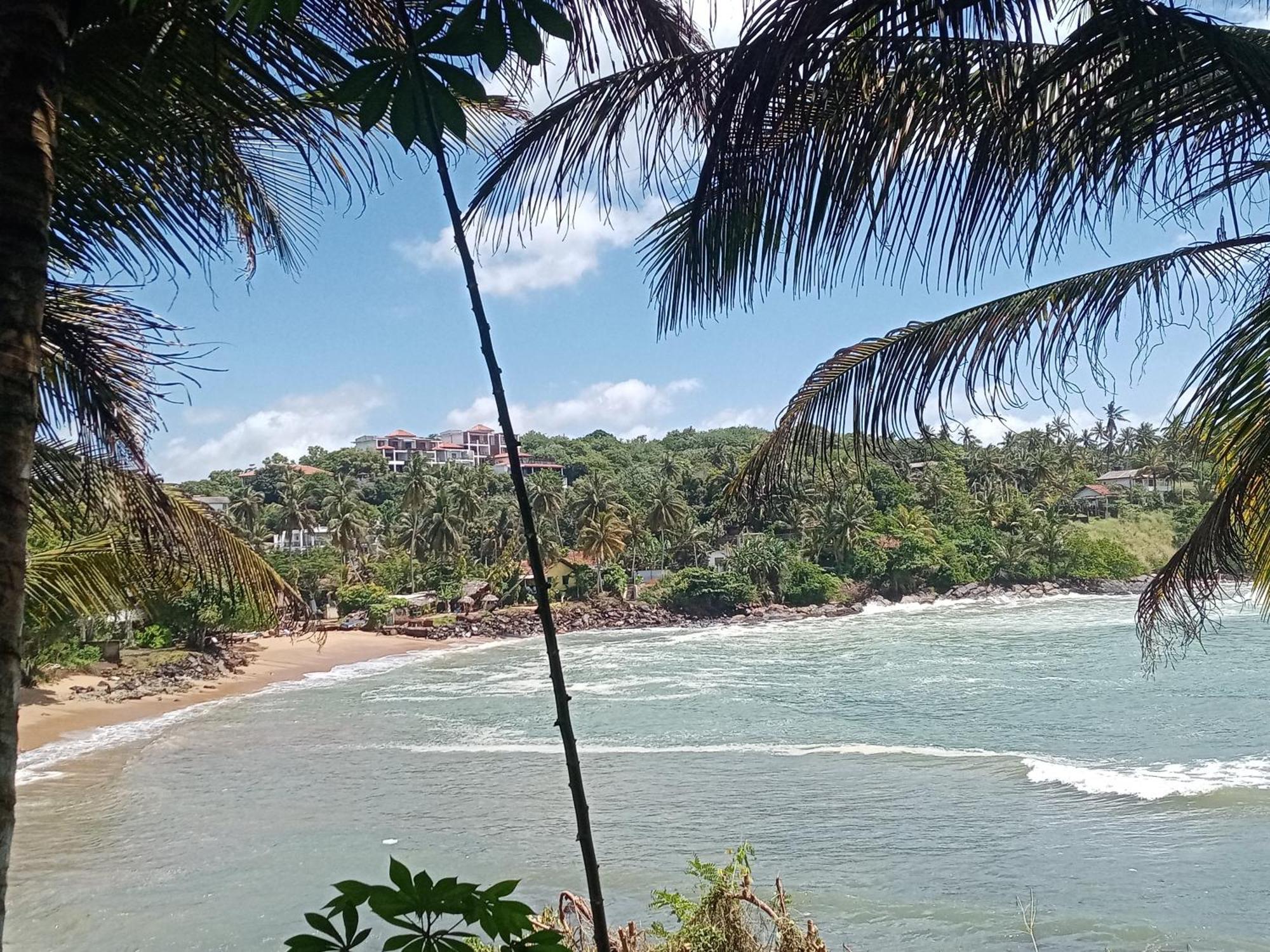 Surf Paradise แทนกาลเล ภายนอก รูปภาพ