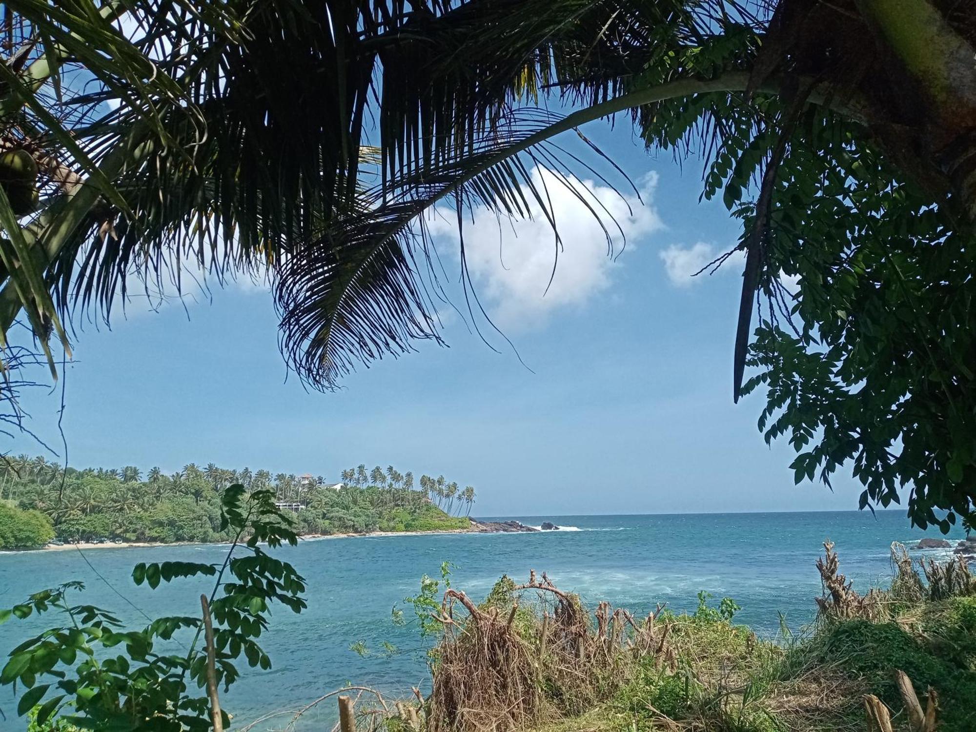 Surf Paradise แทนกาลเล ภายนอก รูปภาพ