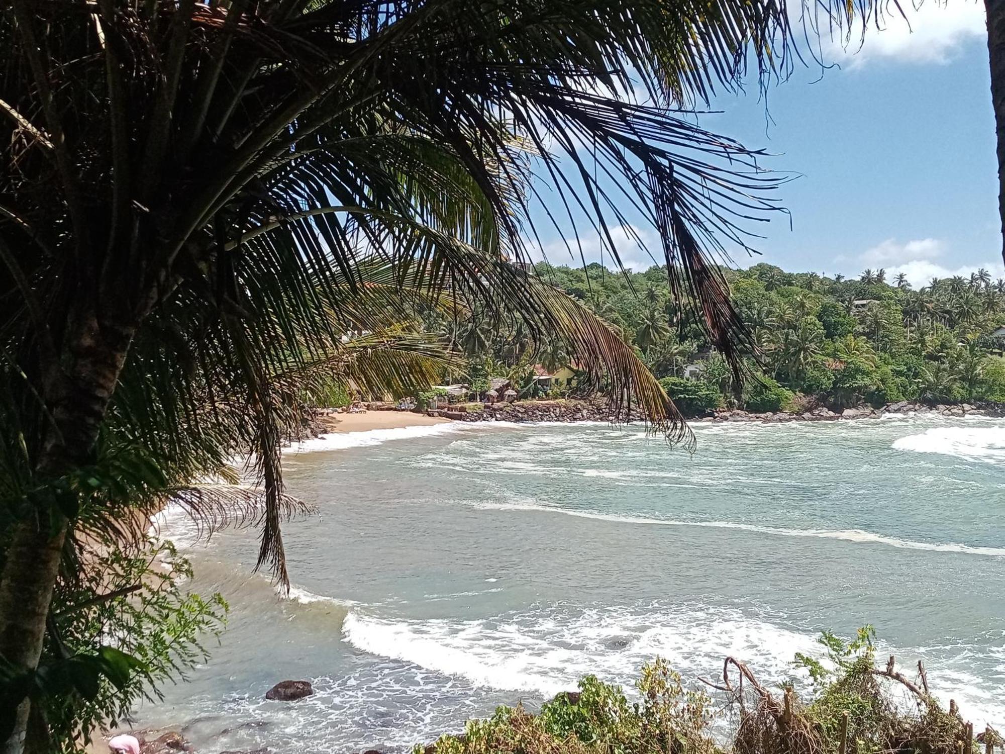 Surf Paradise แทนกาลเล ภายนอก รูปภาพ