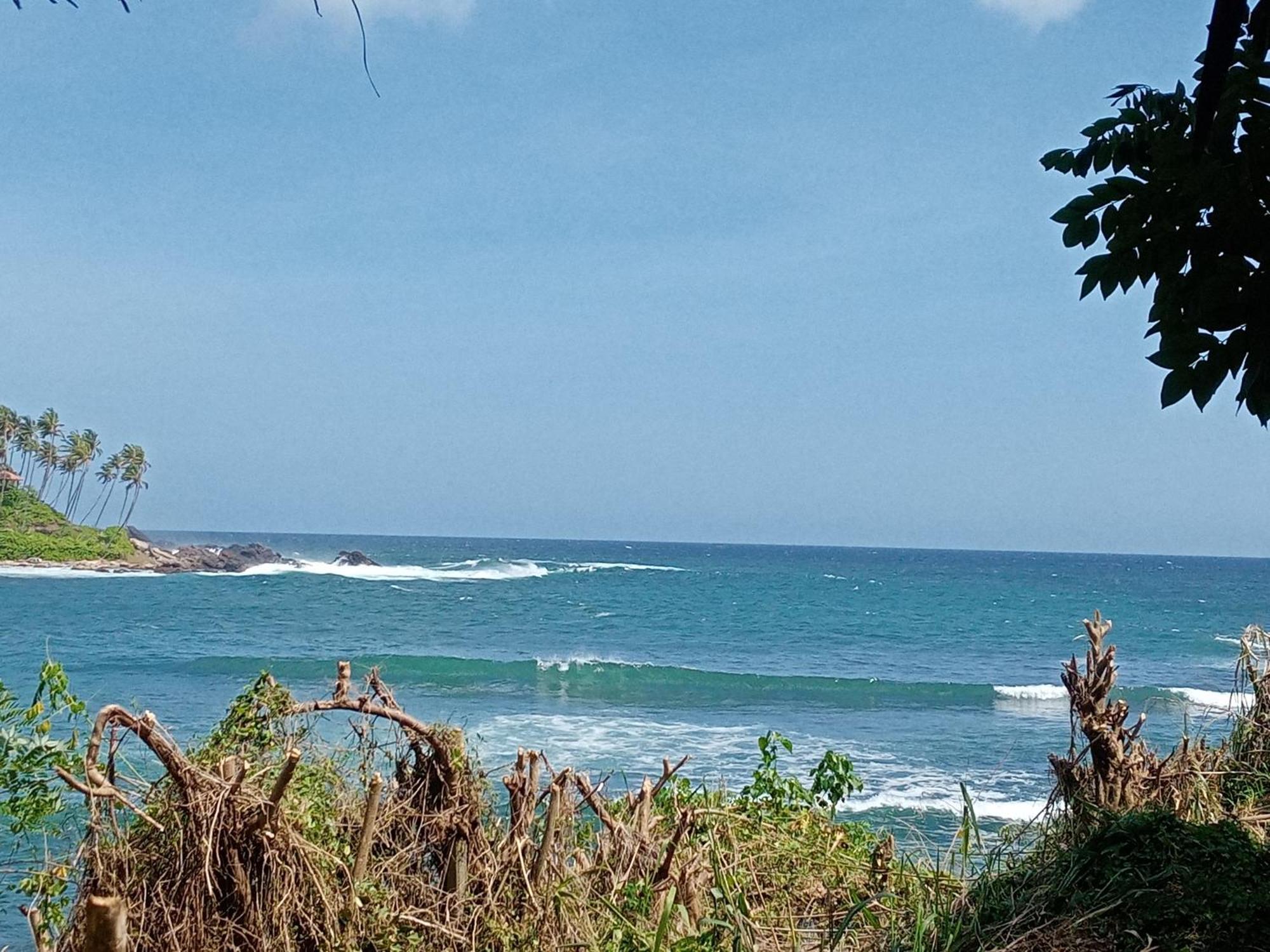 Surf Paradise แทนกาลเล ภายนอก รูปภาพ