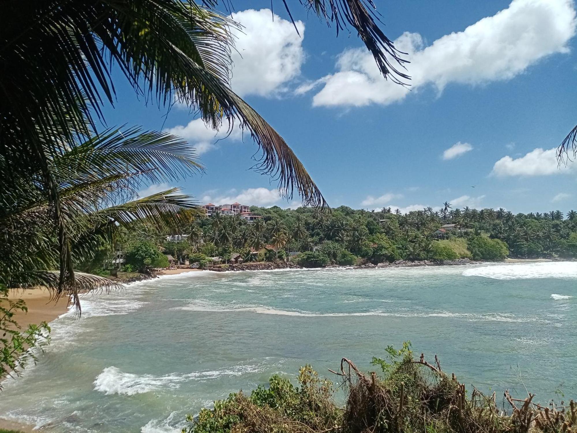 Surf Paradise แทนกาลเล ภายนอก รูปภาพ
