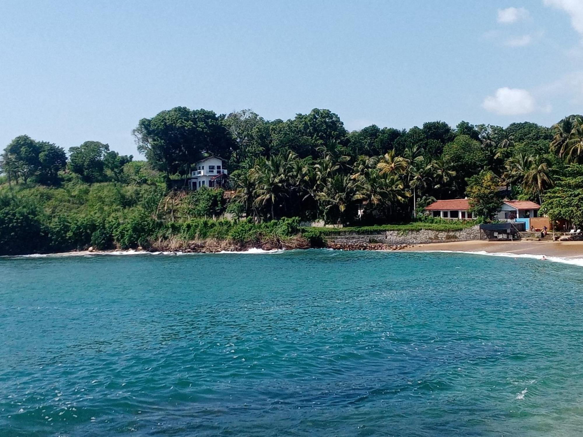 Surf Paradise แทนกาลเล ภายนอก รูปภาพ